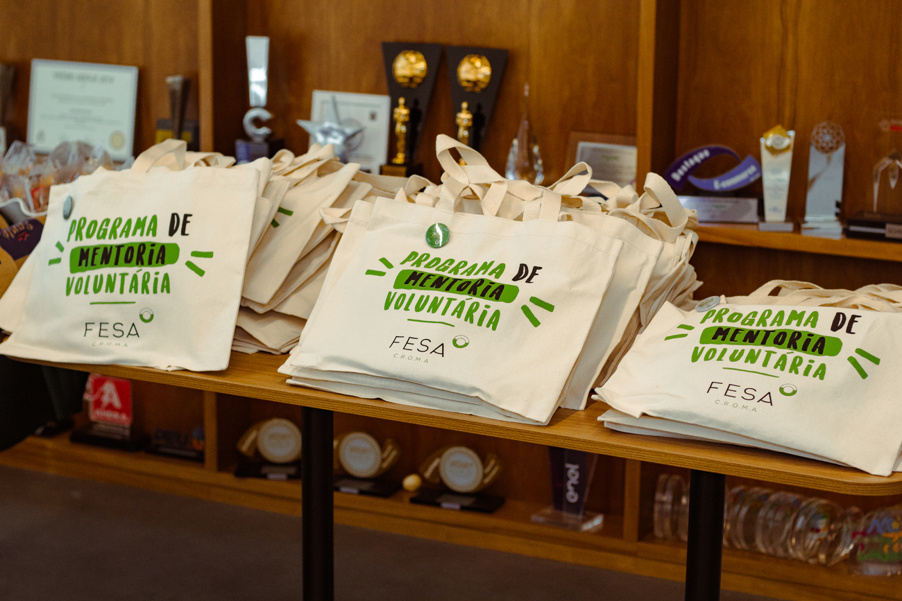 Bolsas do programa de mentoria voluntária